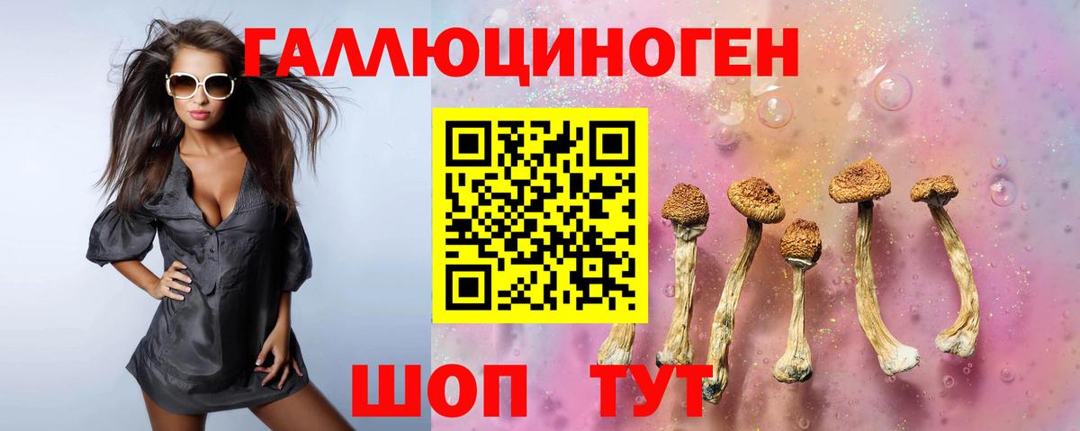 где купить наркоту  Вход с VPN  Муравленко  Псилоцибиновые грибы мицелий 